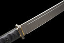 Espada Táctica Stealth Hawk Short Sword — Titanium Edition