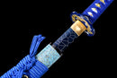 Katana Hyōretsu Sōryū 氷裂蒼竜 (Limitada)