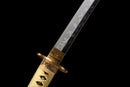 Katana Kogane Ryu黄金龍