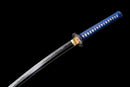 Katana Ryu no Kiba 龍の牙