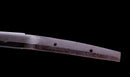Katana Antigua Japonesa Ryokai Shigeyoshi - Hozon