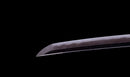 Katana Antigua Japonesa Ryokai Shigeyoshi - Hozon