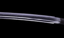 Katana Antigua Japonesa, Espada del Período Edo Tardío con Koshirae de Shishi
