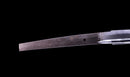 Katana Antigua Japonesa, Espada del Período Edo Tardío con Koshirae de Shishi