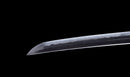 Katana Antigua Japonesa con Menuki de Libélula Tombo y Tsuba de Paisaje Sansui