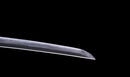 Katana Antigua Japonesa de Kaifu con Doble Hozon y Tsuba Gunbai Myōchin