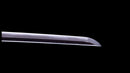 Katana Antigua Japonesa firmada Hitachi no Kami Muneshige, NBTHK Hozon