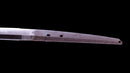 Katana Antigua Japonesa firmada Hitachi no Kami Muneshige, NBTHK Hozon