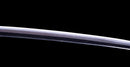 Katana Antigua Japonesa firmada Takada Jū Fujiwara Muneyuki - HOZON