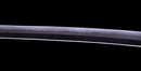 Katana Antigua Japonesa con Sukashi de Hierro y Koshirae