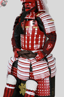 Samurai-pantser Aka