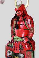 Samurai Ii Gashira Tosei-pantser